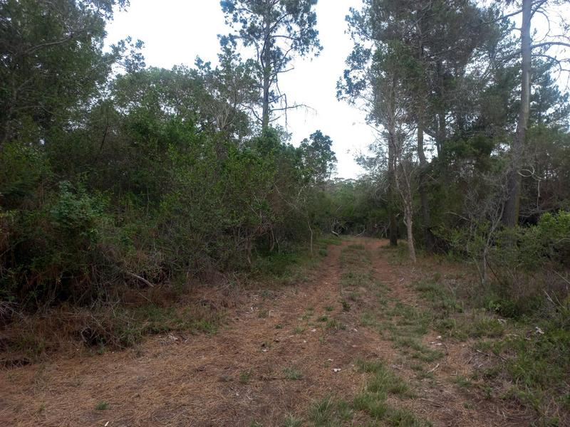 2 Bedroom Property for Sale in Wilderness Western Cape